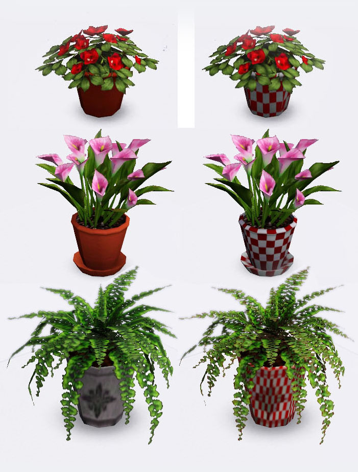 Pot Flowers Names - Food Ideas