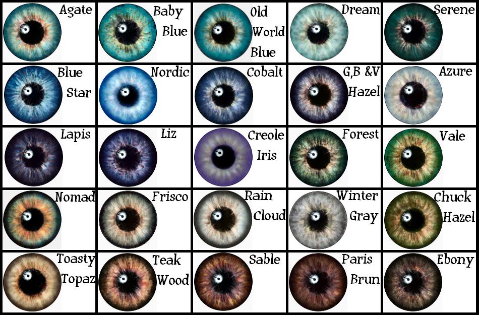 Eye Color Percentage Chart