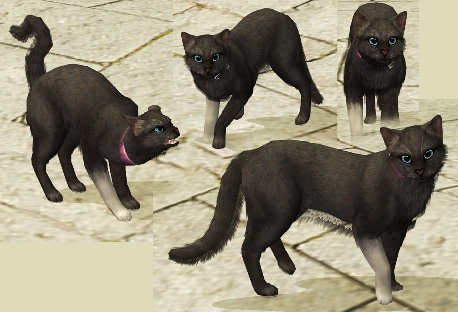 sims 4 warrior cats cc