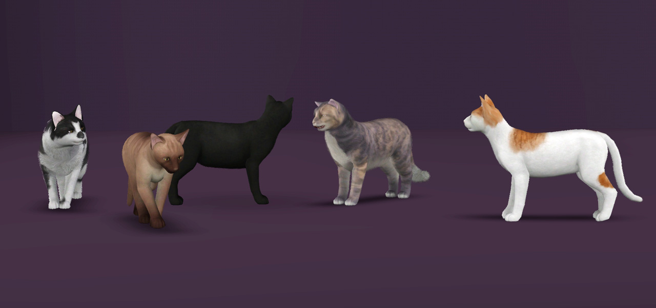 how to put a pet up for adoption on sims 3 pets ps3