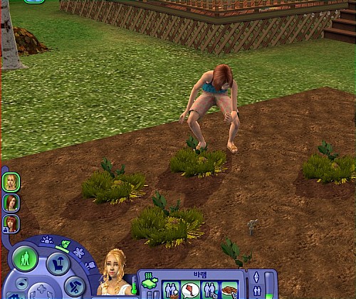 Vista Patch For Sims 2