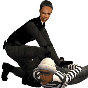 http://thumbs.modthesims2.com/img/6/6/8/4/6/7/6/MTS_live2draw-1273036-policepose.gif