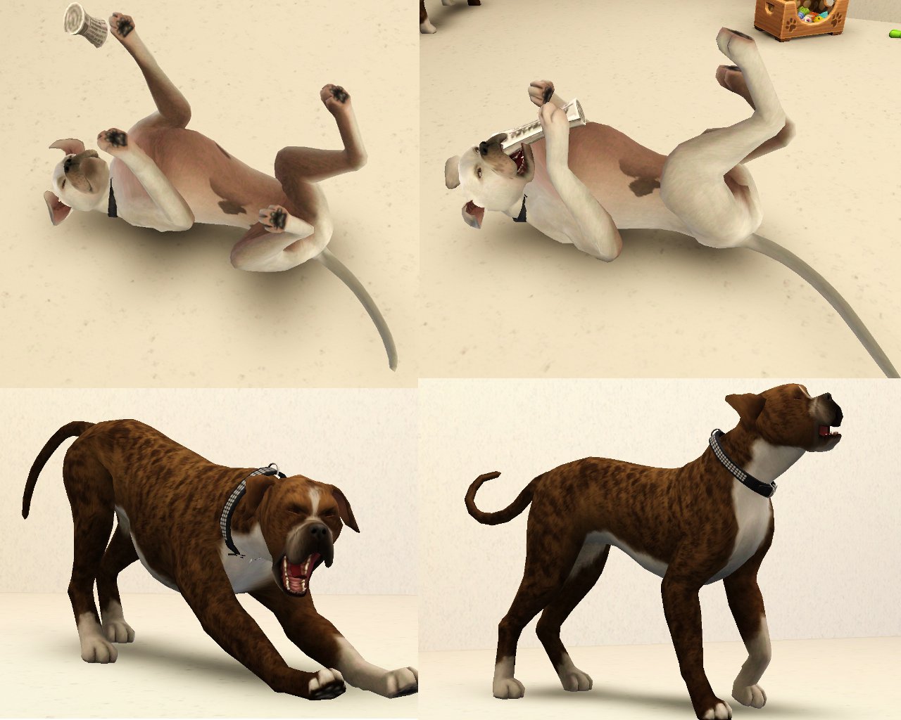 how to give your dog up for adoption on sims 3 pets
