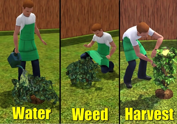 Mod The Sims Gardener Service 2