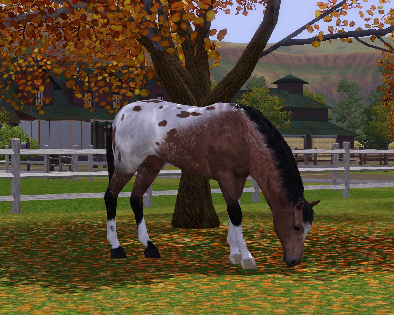 How Do You Buy A Horse On Sims 3 Pets