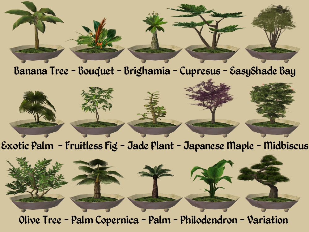 Mod The Sims - 15 New Bonsai