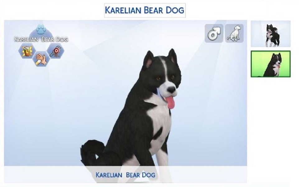 Mod The Sims - Karelian Bear Dog