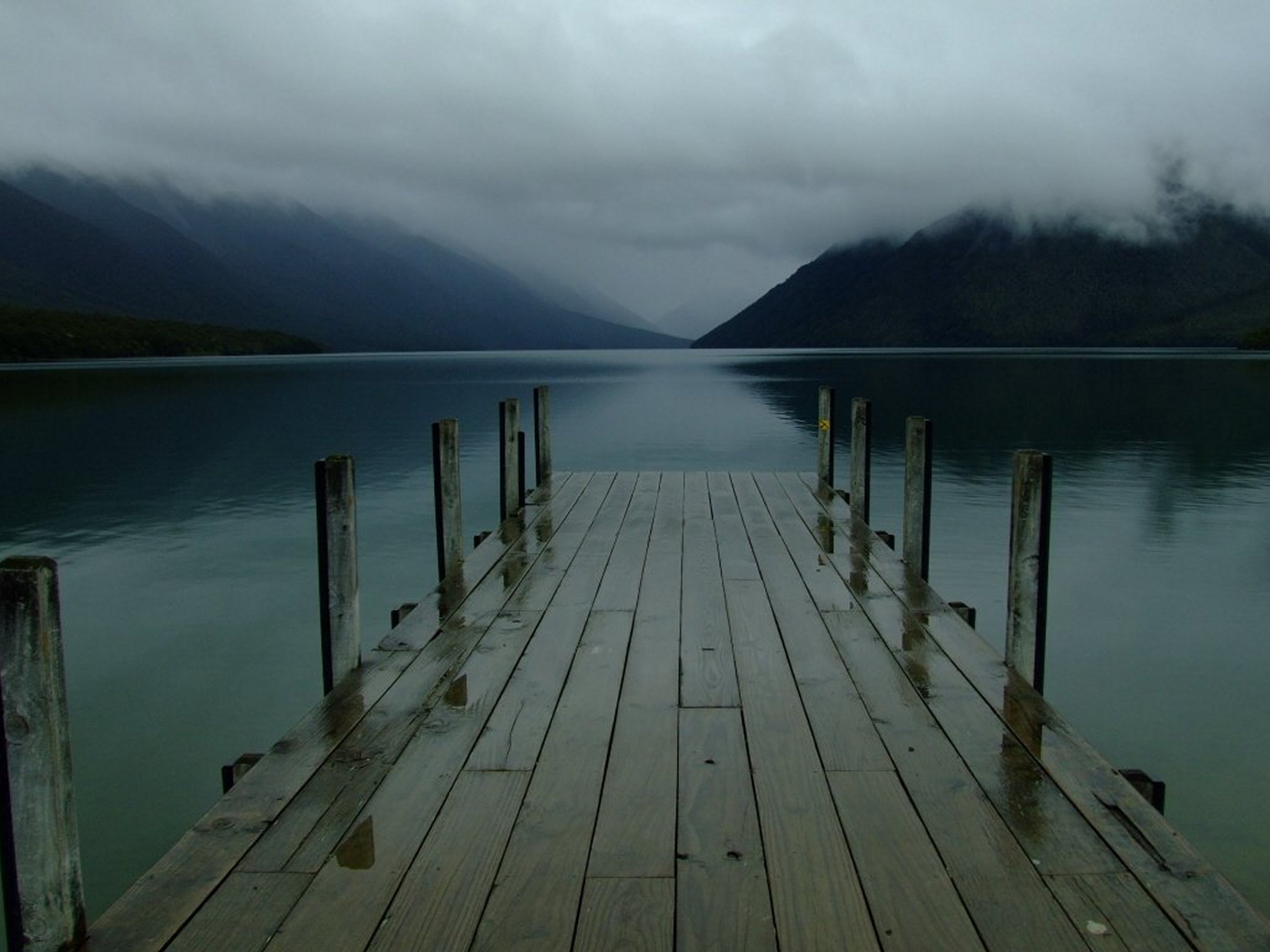жуткие пруды. трясина черное озеро зеленоград. страшное озеро в лесу.