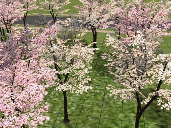 Sims 4 Cherry Blossom Cc