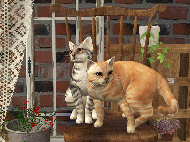 MTS_Hopelessly-1218841-3.jpg
