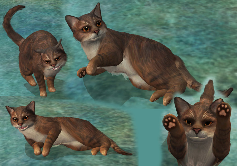 A sims 3 warrior cats challenge. 