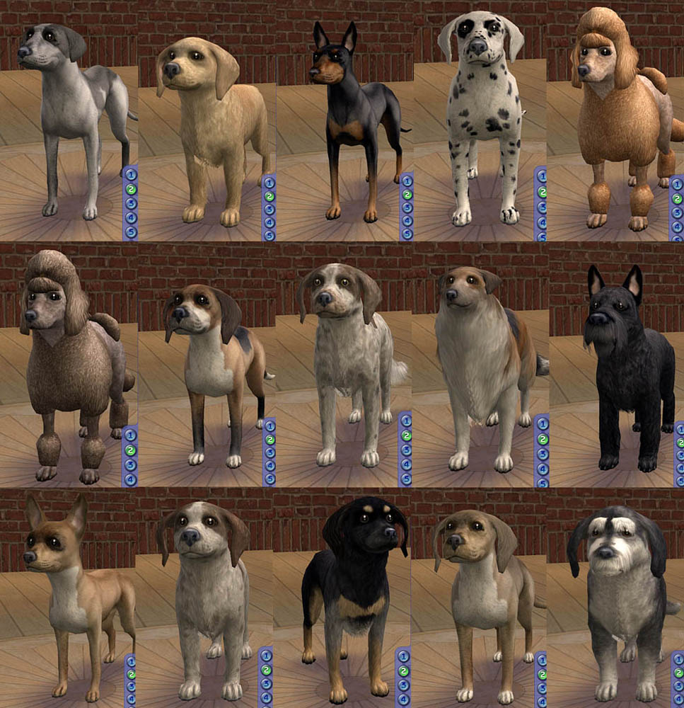 Mod The Sims - AMjoie Dog Breeds: Part One -- Small Dogs (More ...