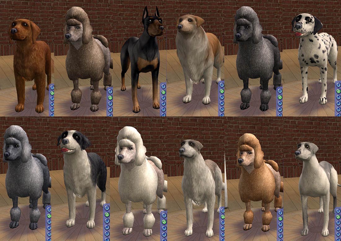 Mod The Sims - AMjoie Dog Breeds: Part Two -- Large Dogs (Two Dozen)