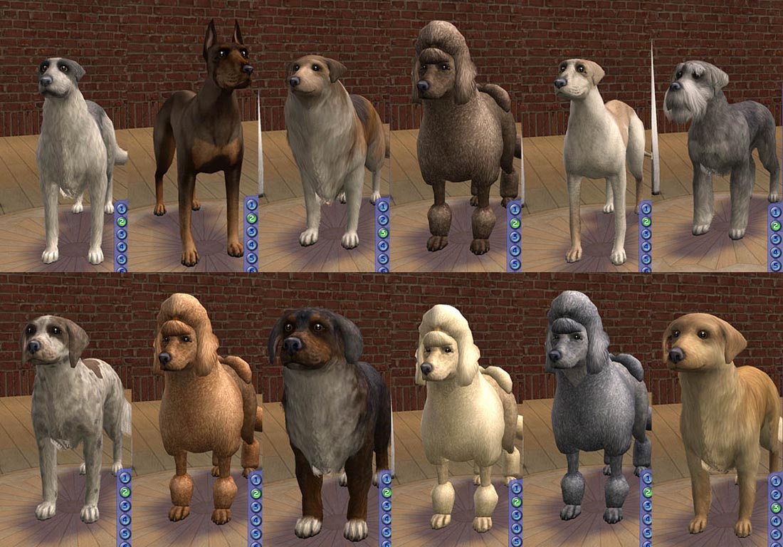 Mod The Sims - AMjoie Dog Breeds: Part Two -- Large Dogs (Two Dozen)