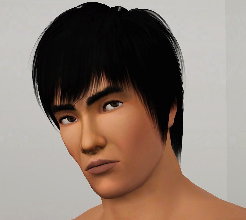 Mod The Sims - The Dragon - The immortal legend Bruce Lee - Update: 