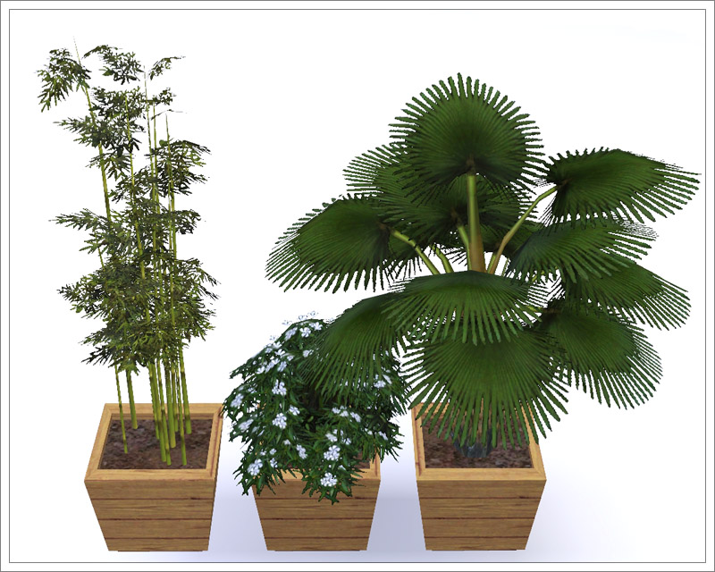 Plant 02. Симс 3 растения. Outdoor Plants 3ddd. Plant Floor Floor. Giantaz grows 3d.