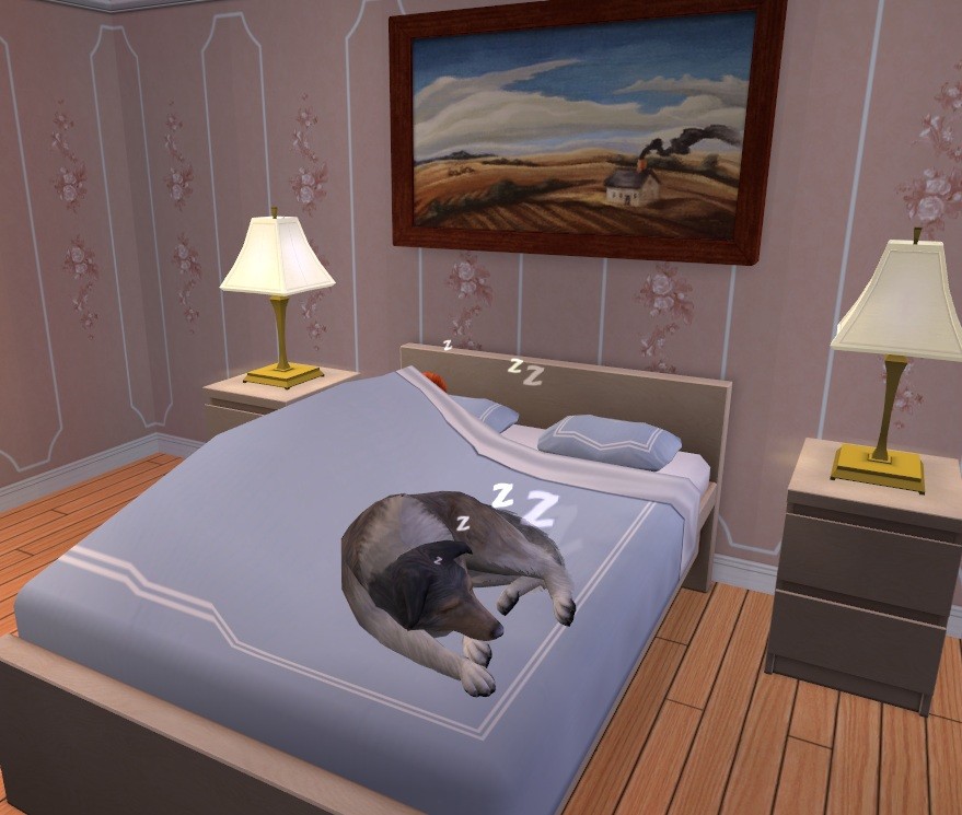 Sims 4 pets beds custom content - battlevsa