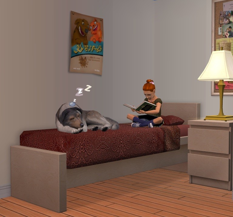 MTS_MogHughson-1104937-PetSleepChildRelax.jpg