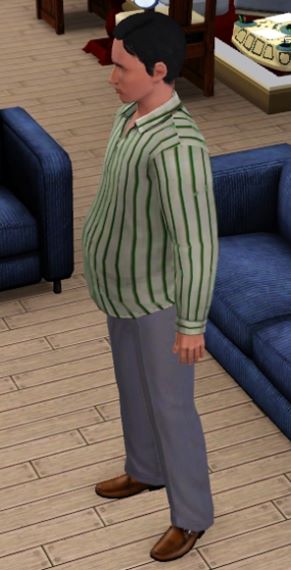 pregnant male bug : r/Sims3