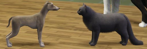 Mod The Sims Tail Length Slider For Cats And Dogs