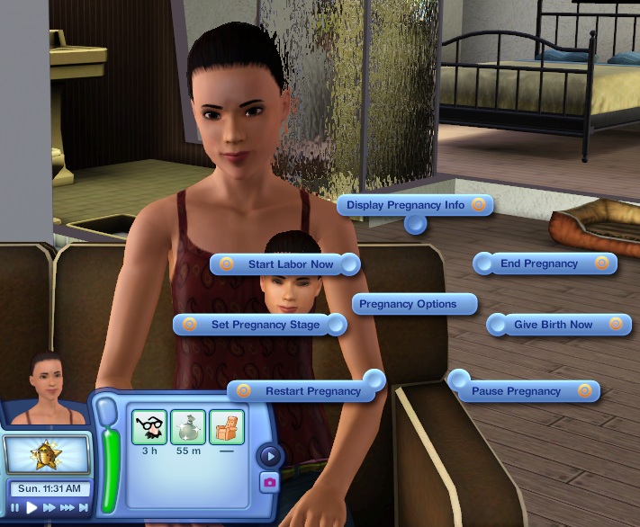 Sims 4' Pregnancy Cheats: How To Force Twins, Induce Labor & Age Up