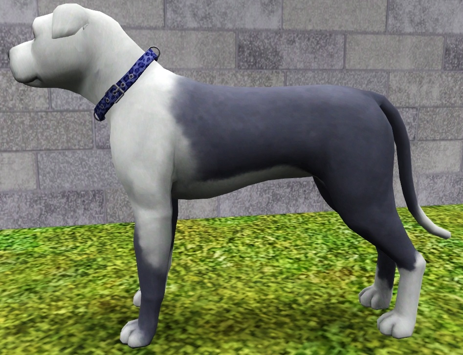 Mod The Sims Prettypits 5 Pitbulls
