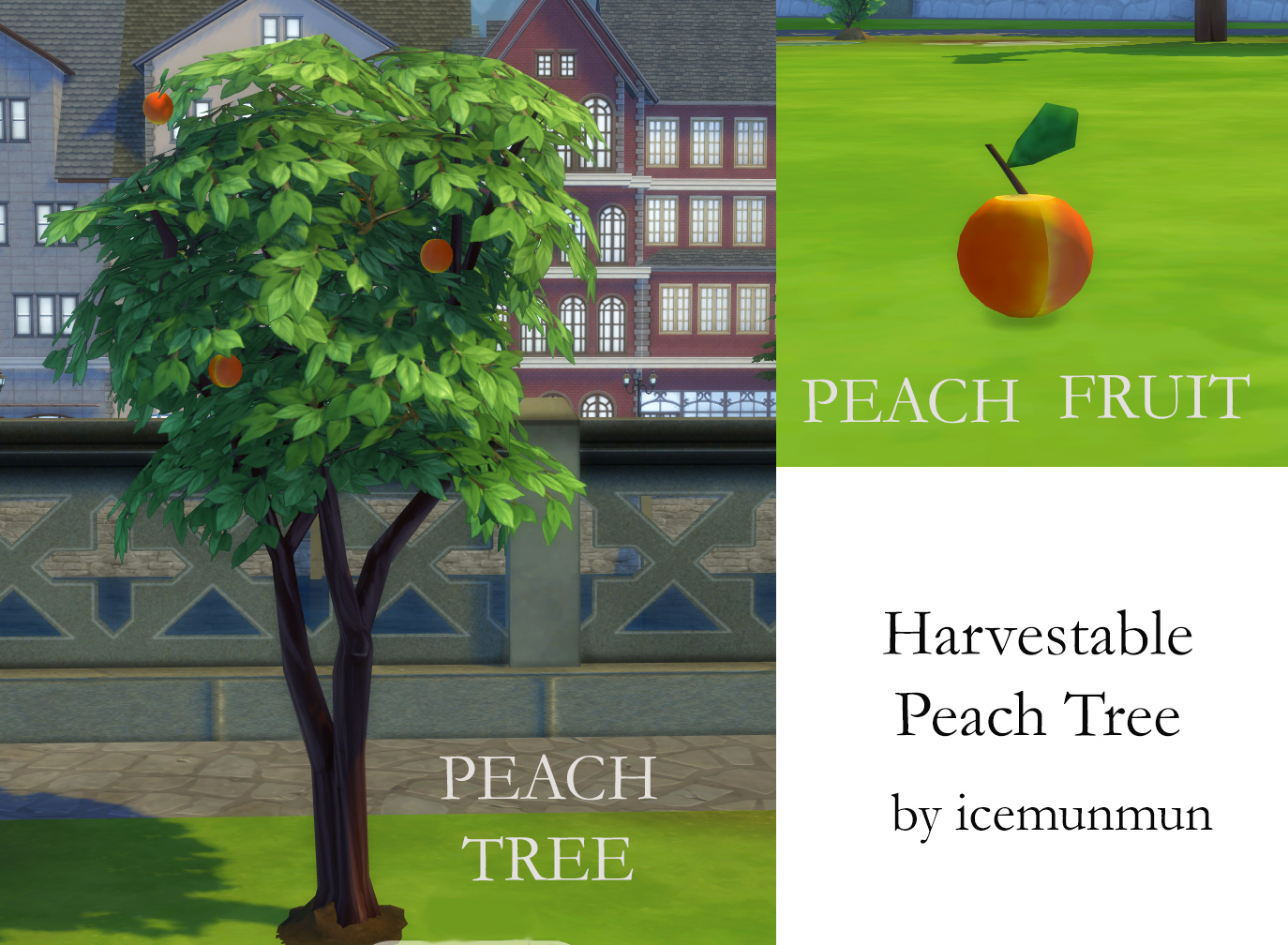سيمز 4 كيفية زراعة أشجار الفاكهة