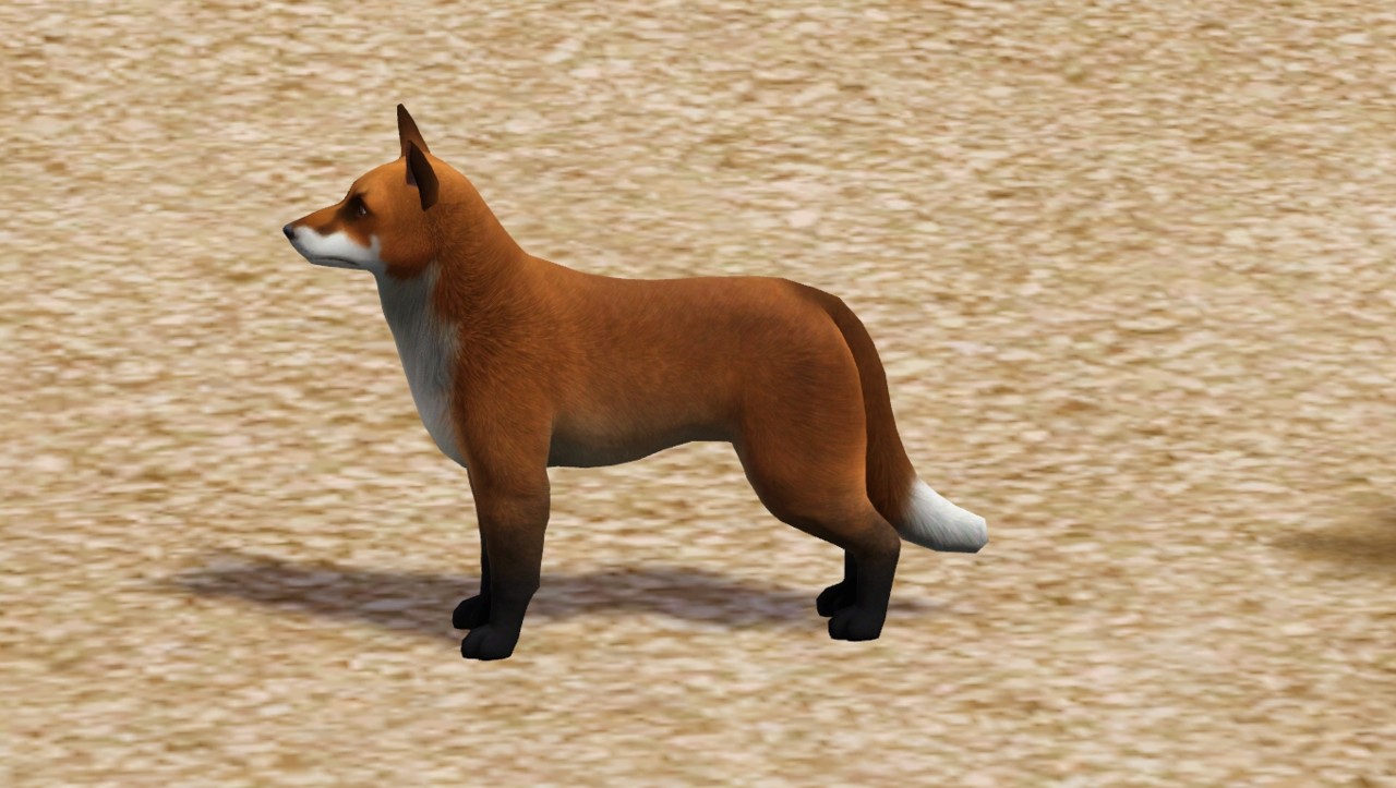 the sims 4 cats and dogs foxes