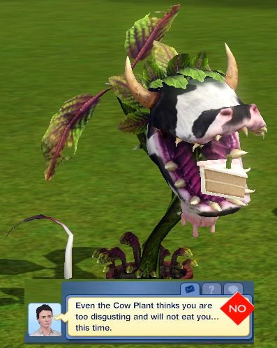 Mod The Sims Cow Plant Tweaks With Multiple Flavors 1 63