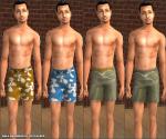 Mod The Sims - 4 male swimwear by nicolafred