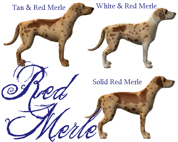 Mod The Sims Catahoula Leopard Dog