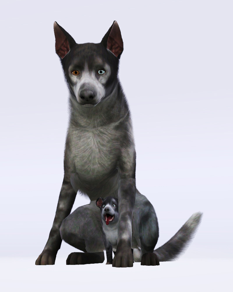 Mod The Sims - Fallout 3 - Dogmeat & Puppy