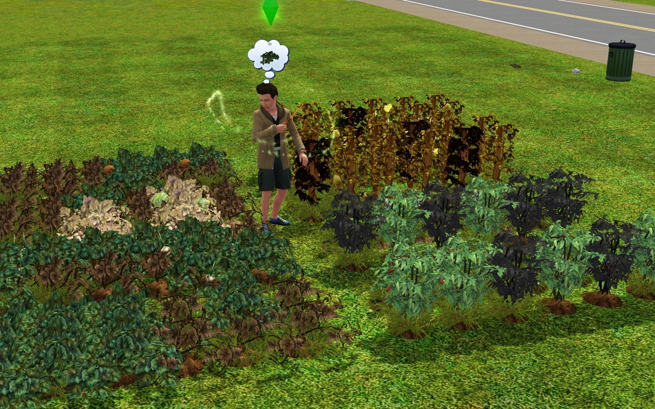 Sims 3 Ako zasadím záhradu