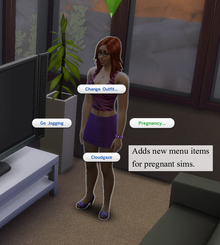 Sims 4 Realistic Pregnancy Mod