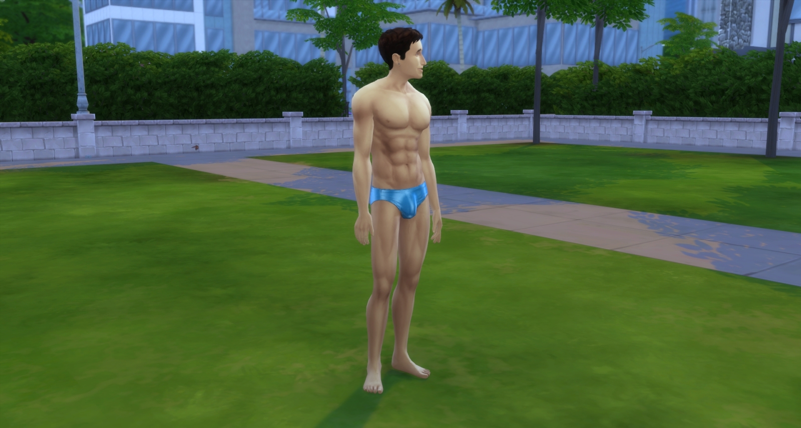 Mod The Sims - Male Sims - shiny speedos - swimwear