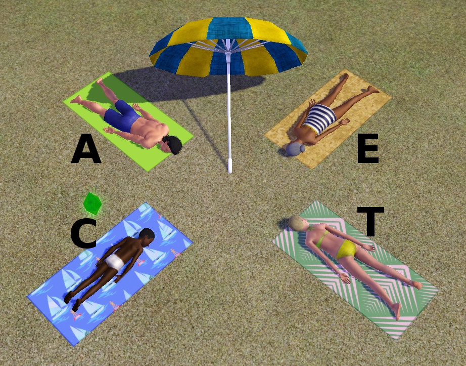 Mod The Sims Basegame Beach Towel