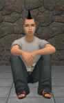 Mod The Sims Genetically Correct Clean Template Strangetown With