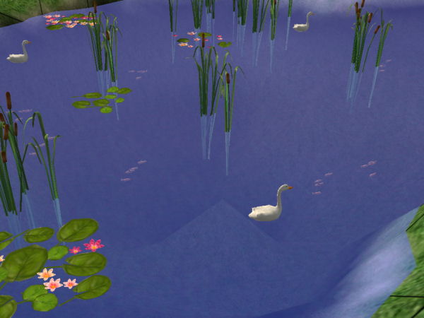 MTS_mickyss-75040-Fish2.jpg