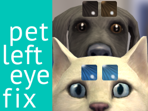 Pet Left Eye Fix